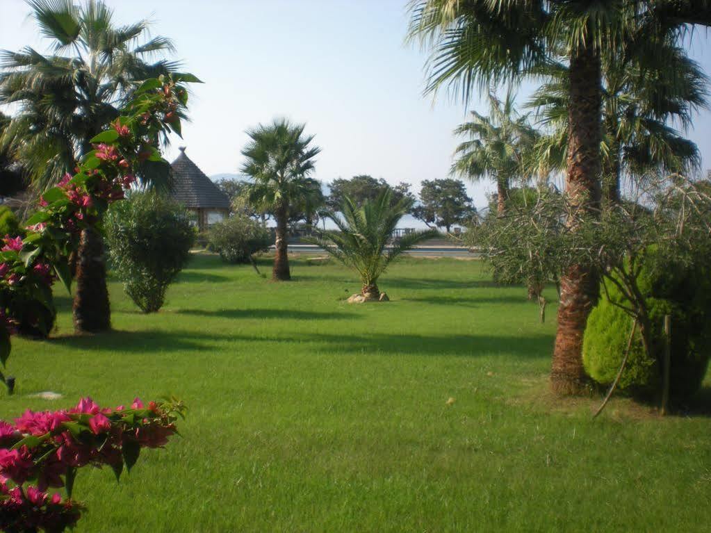 Hotel Le Ruesco Olmeto  Dış mekan fotoğraf